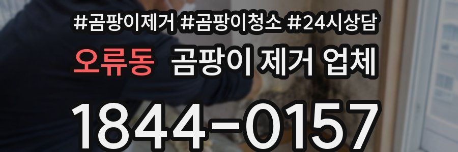 오류동 곰팡이 제거 업체