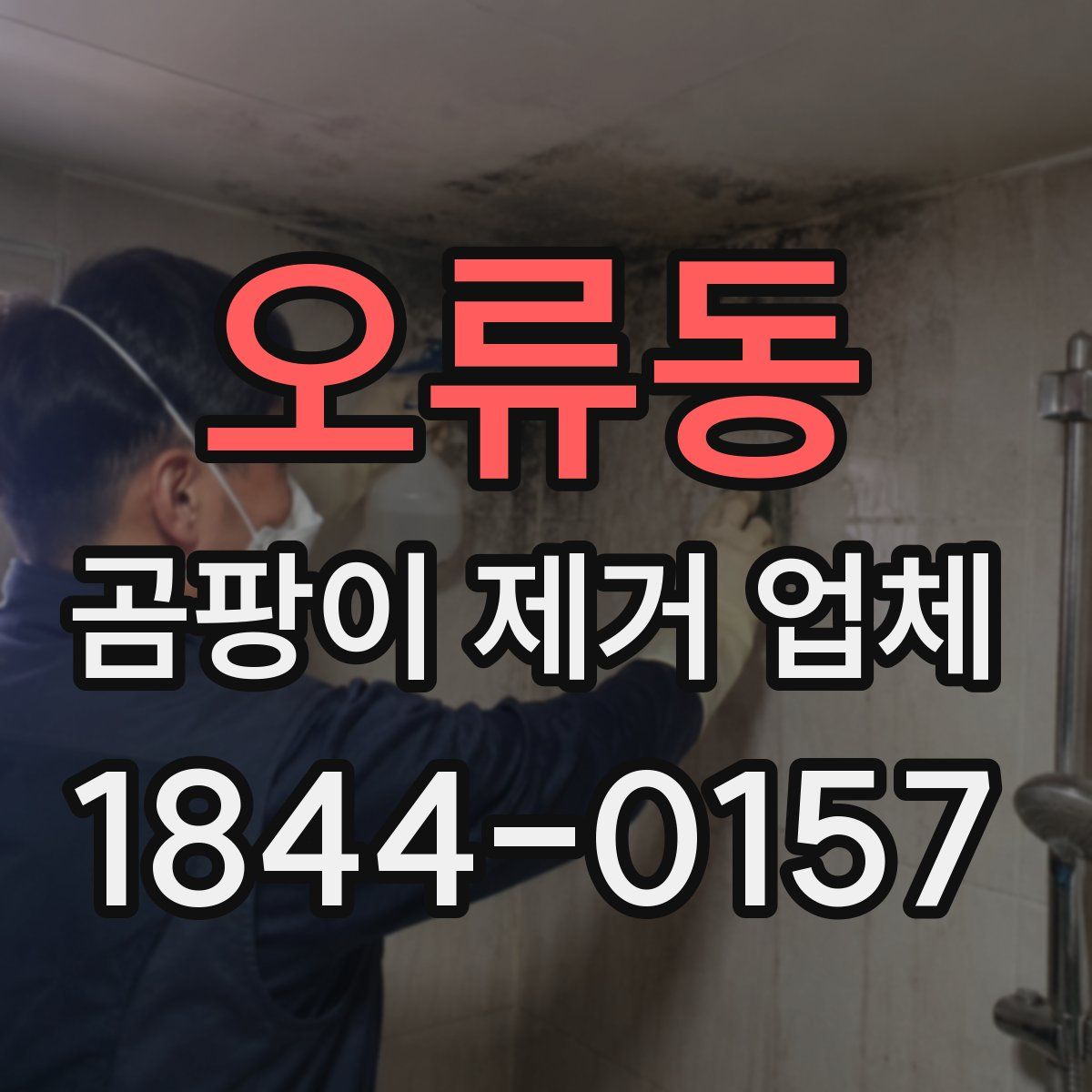 오류동 곰팡이 제거 업체