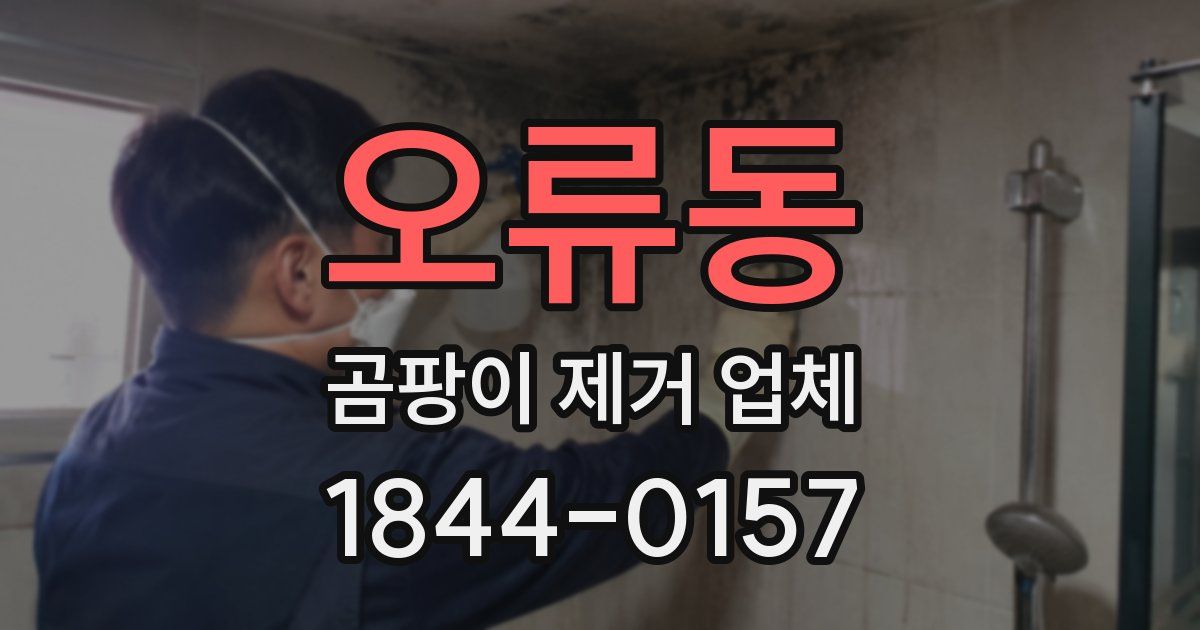 오류동 곰팡이 제거 업체