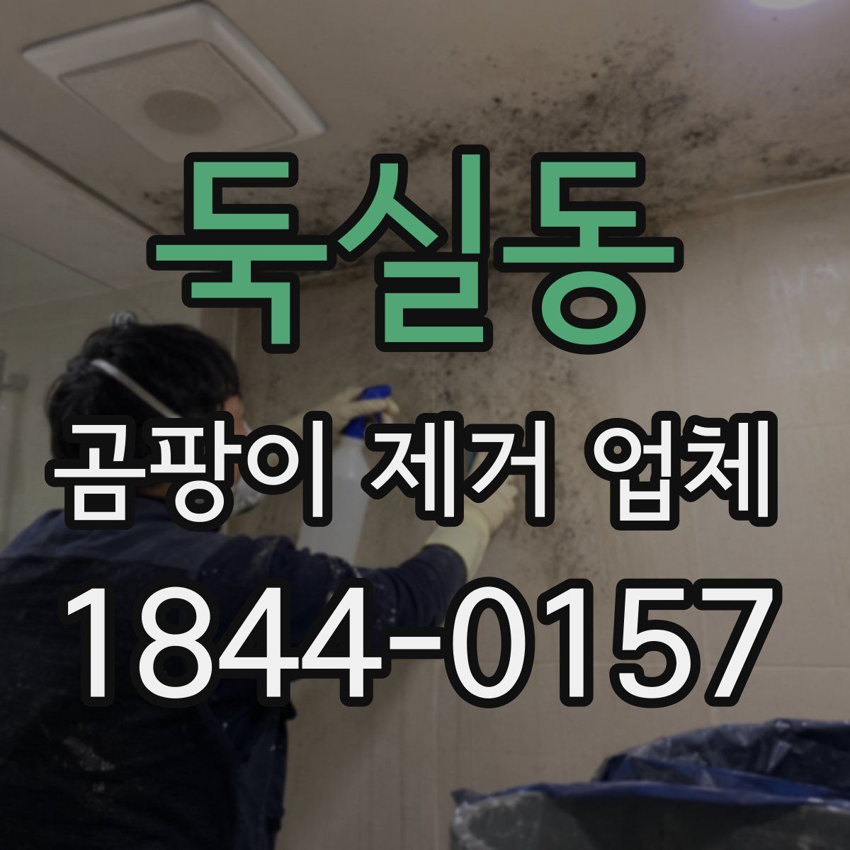 둑실동 곰팡이 제거 업체