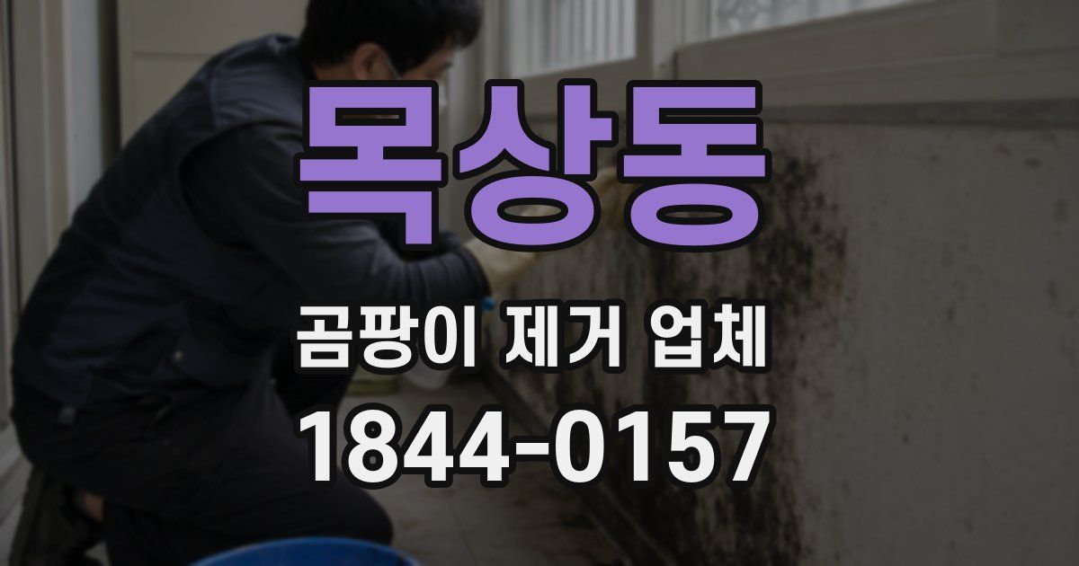 목상동 곰팡이 제거 업체