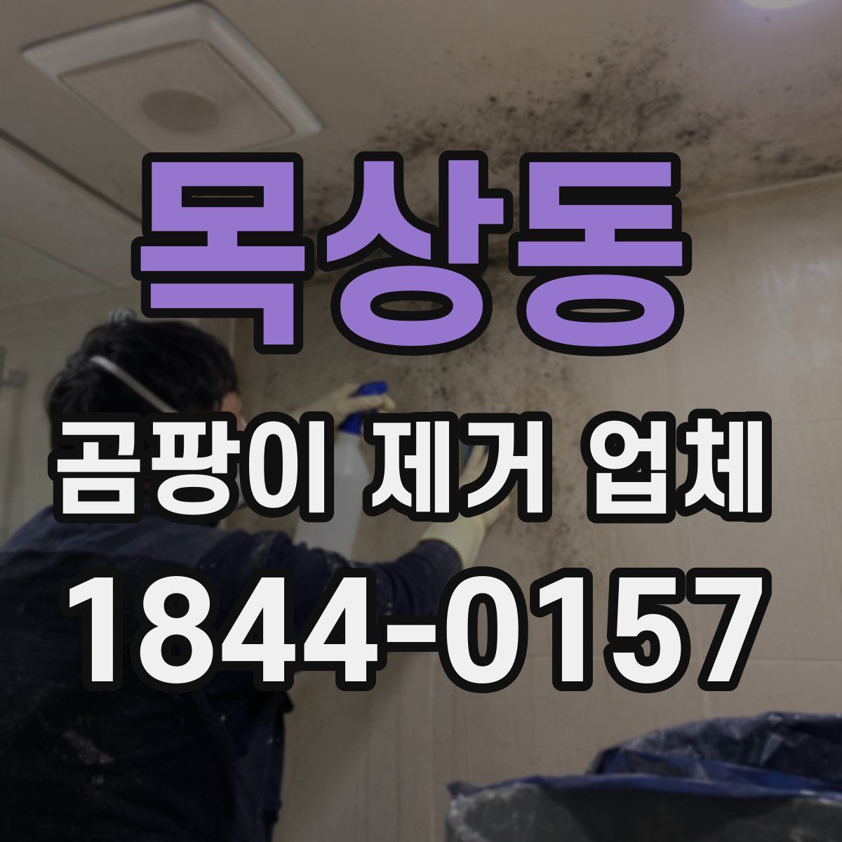 목상동 곰팡이 제거 업체