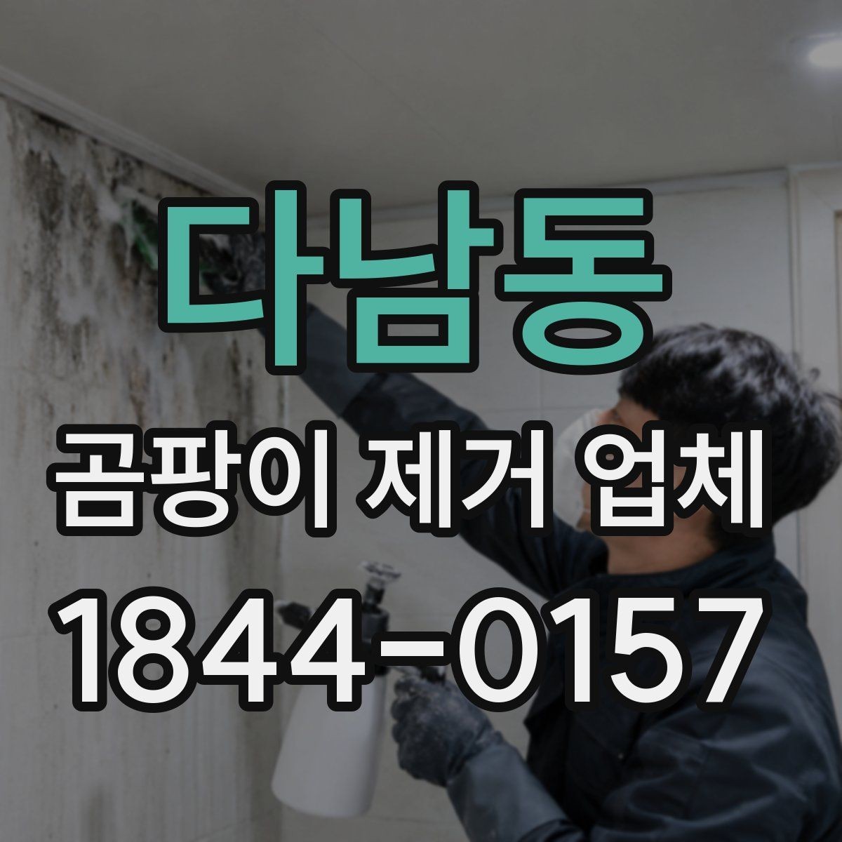 다남동 곰팡이 제거 업체 창틀 주위 곰팡이 점검이 먼저 필요한 이유