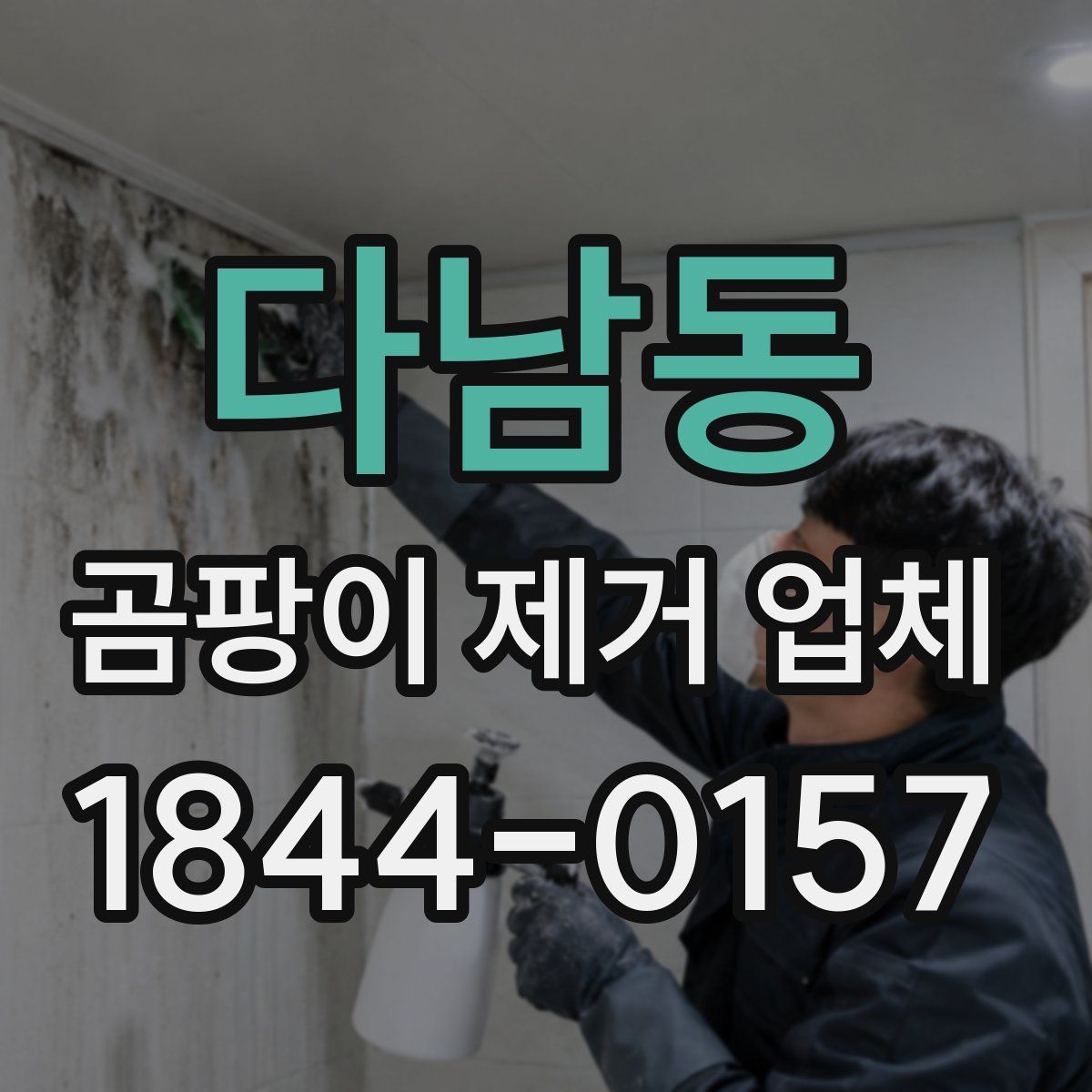 다남동 곰팡이 제거 업체