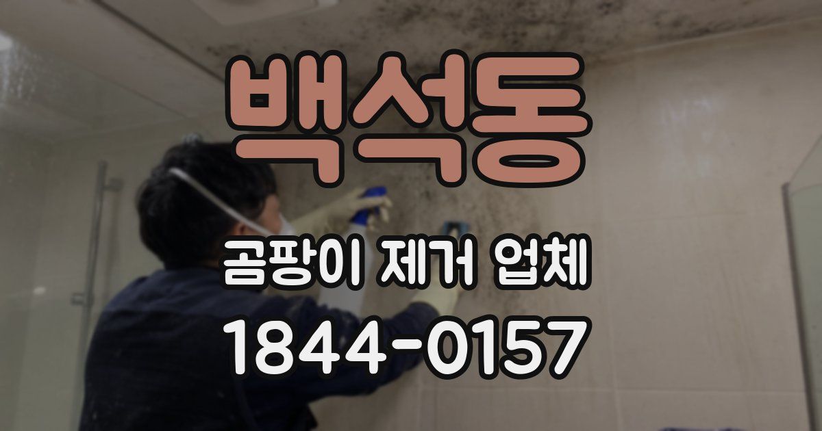백석동 곰팡이 제거 업체