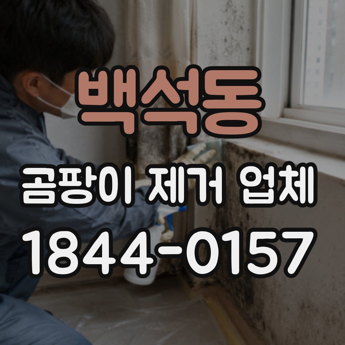 백석동 곰팡이 제거 업체