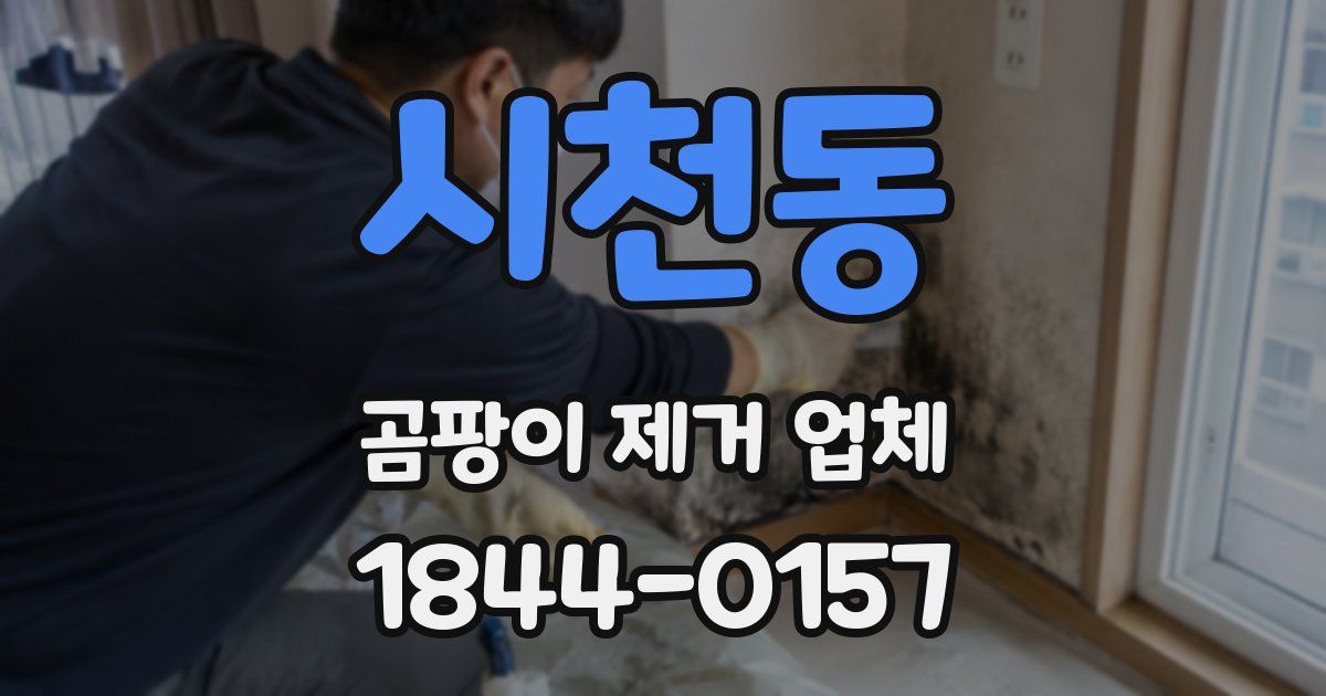 시천동 곰팡이 제거 업체