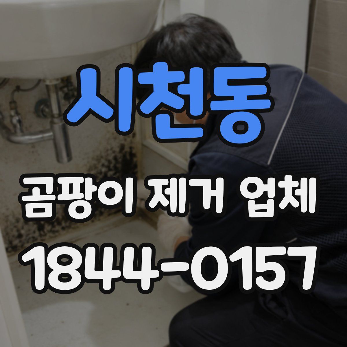 시천동 곰팡이 제거 업체