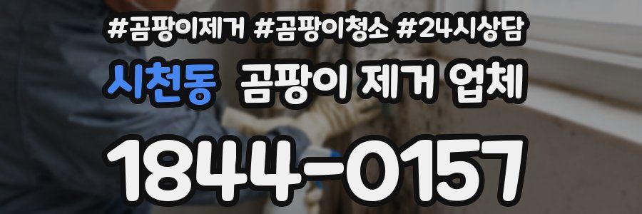 시천동 곰팡이 제거 업체