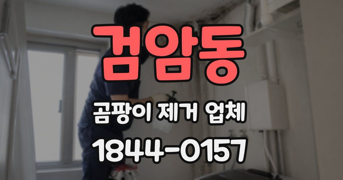 검암동 곰팡이 제거 업체