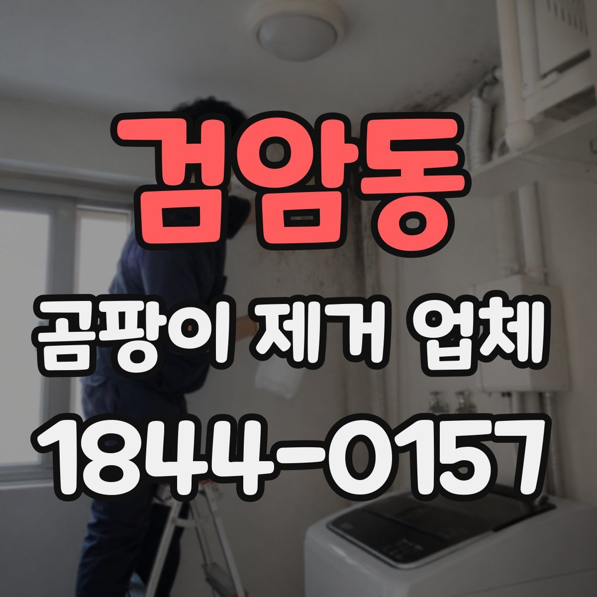 검암동 곰팡이 제거 업체