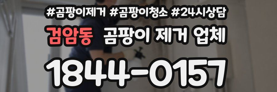 검암동 곰팡이 제거 업체