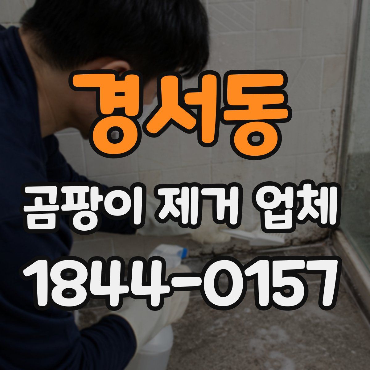 경서동 곰팡이 제거 업체