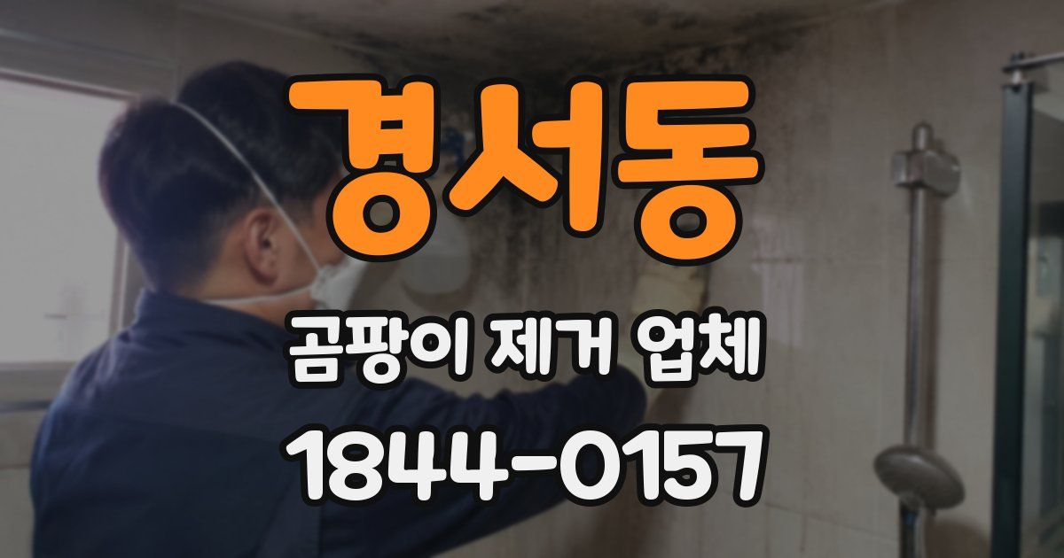 경서동 곰팡이 제거 업체