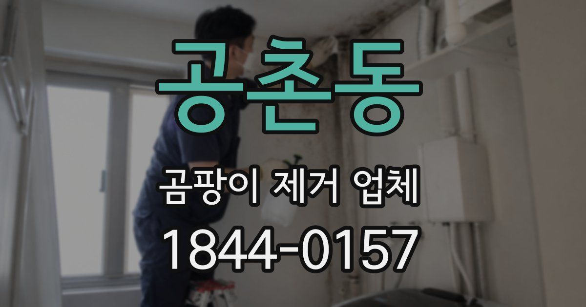 공촌동 곰팡이 제거 업체