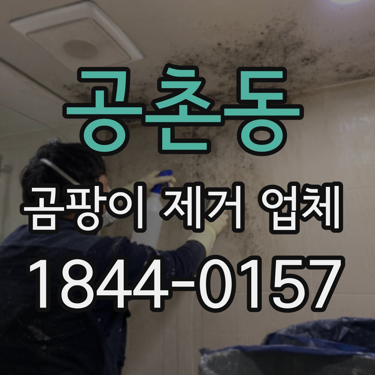 공촌동 곰팡이 제거 업체