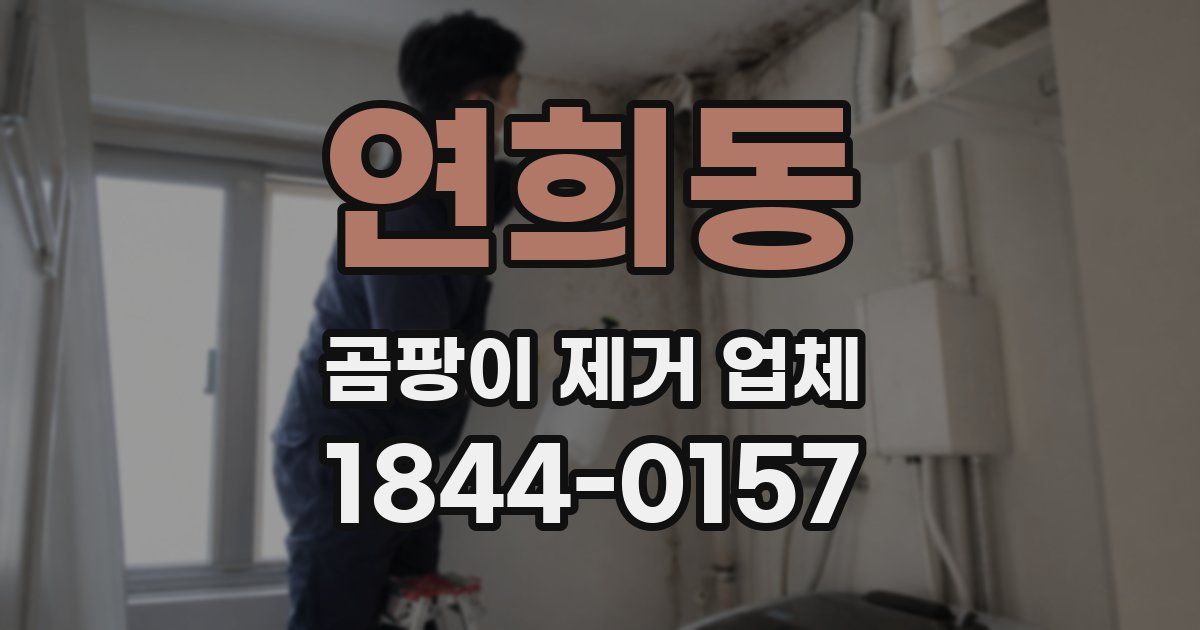 연희동 곰팡이 제거 업체