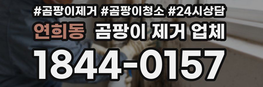 연희동 곰팡이 제거 업체