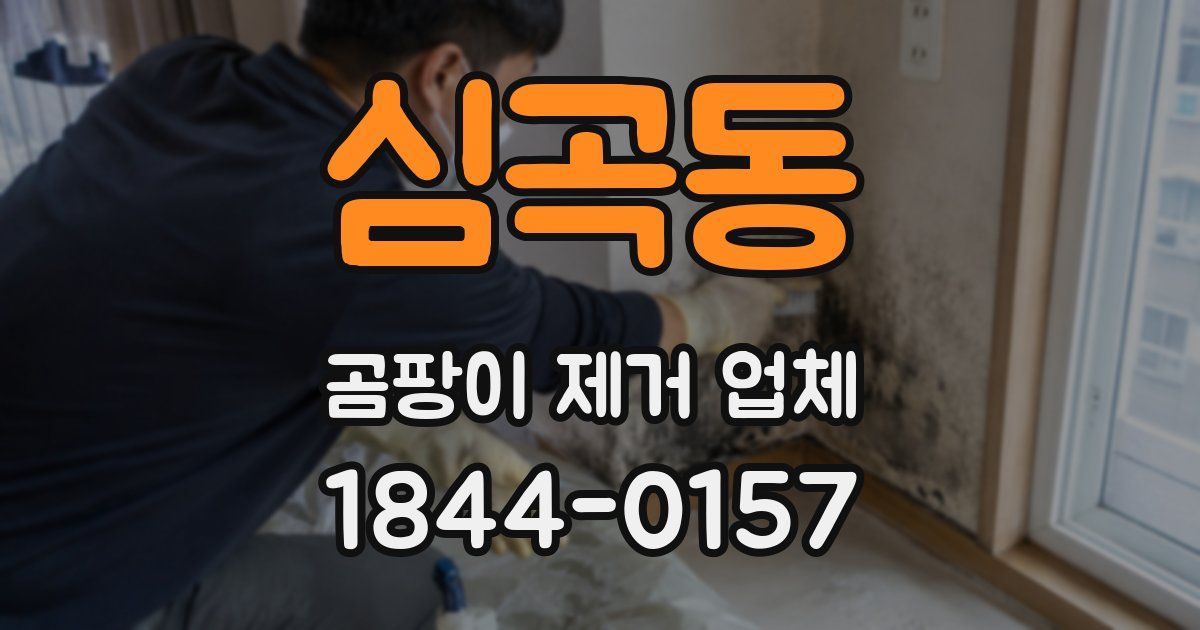 심곡동 곰팡이 제거 업체