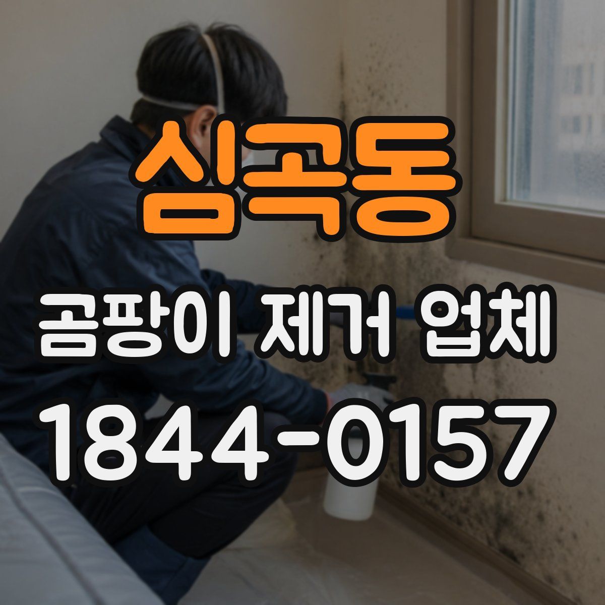 심곡동 곰팡이 제거 업체