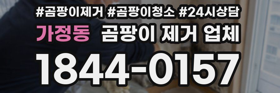 가정동 곰팡이 제거 업체