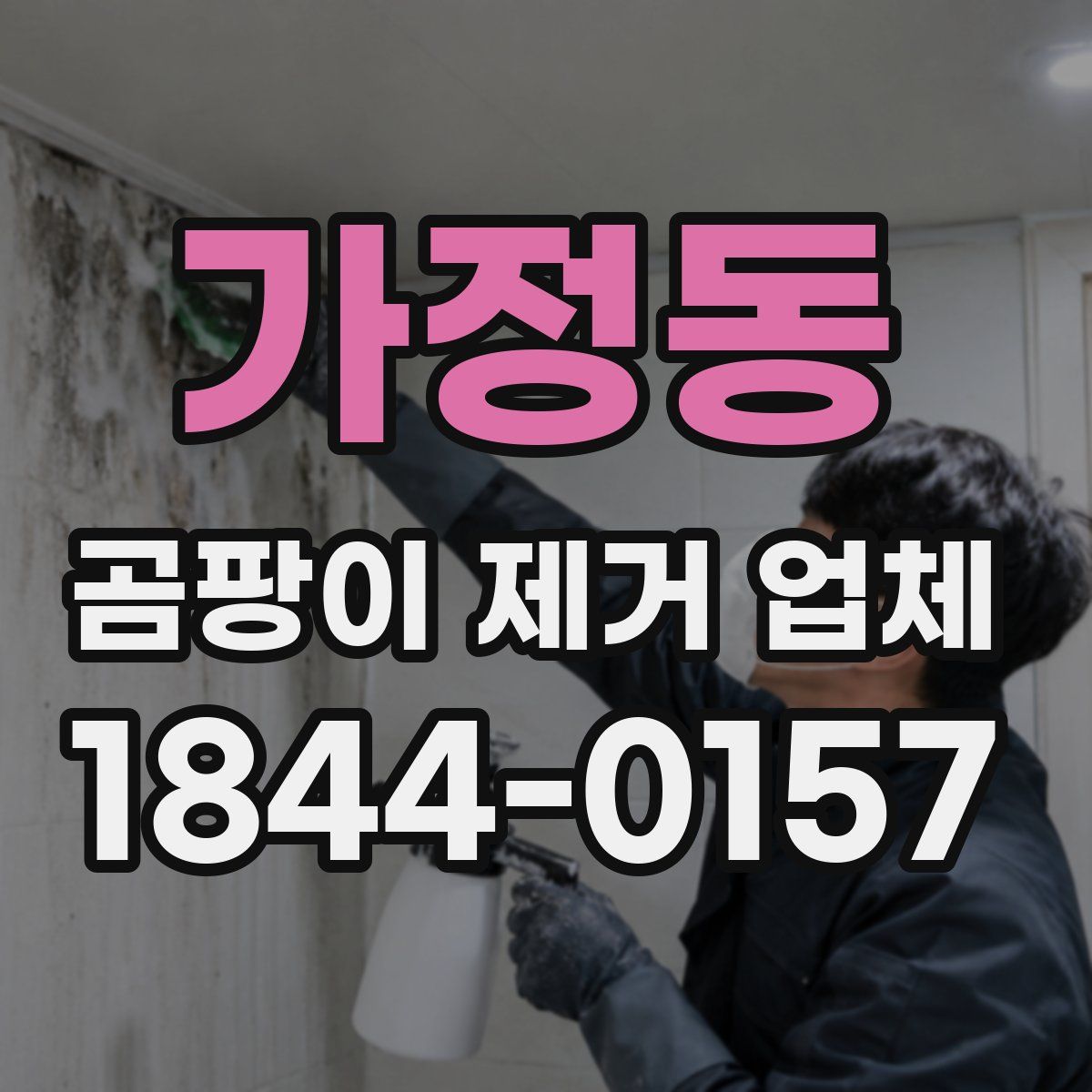 가정동 곰팡이 제거 업체