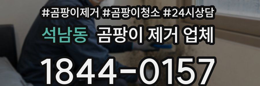 석남동 곰팡이 제거 업체