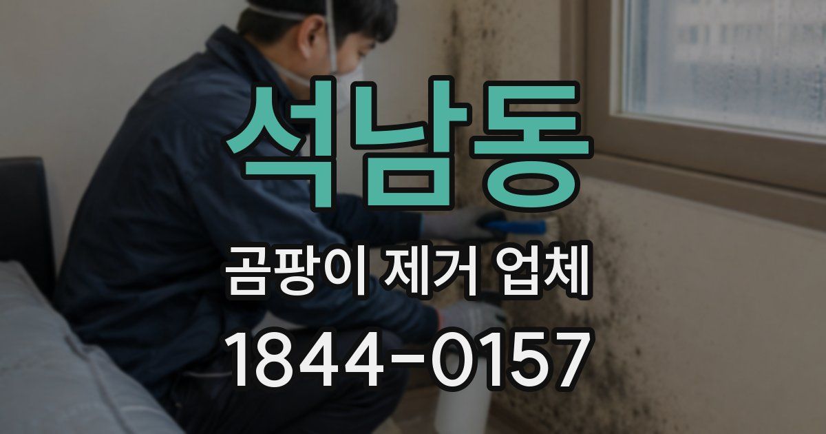 석남동 곰팡이 제거 업체