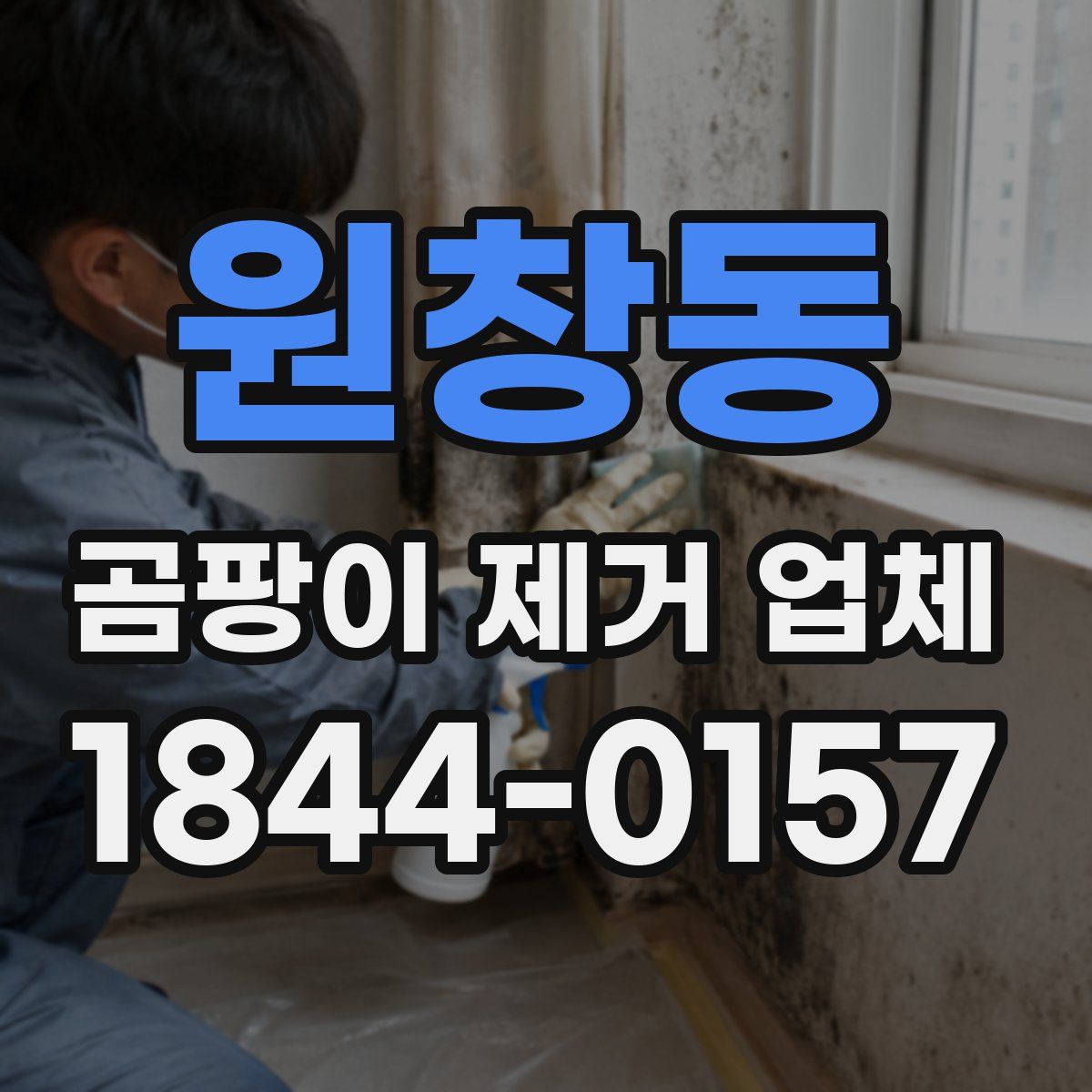 원창동 곰팡이 제거 업체