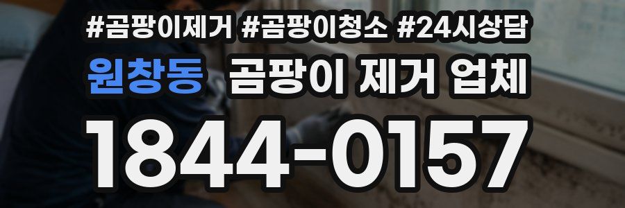 원창동 곰팡이 제거 업체