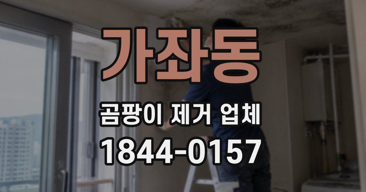 가좌동 곰팡이 제거 업체