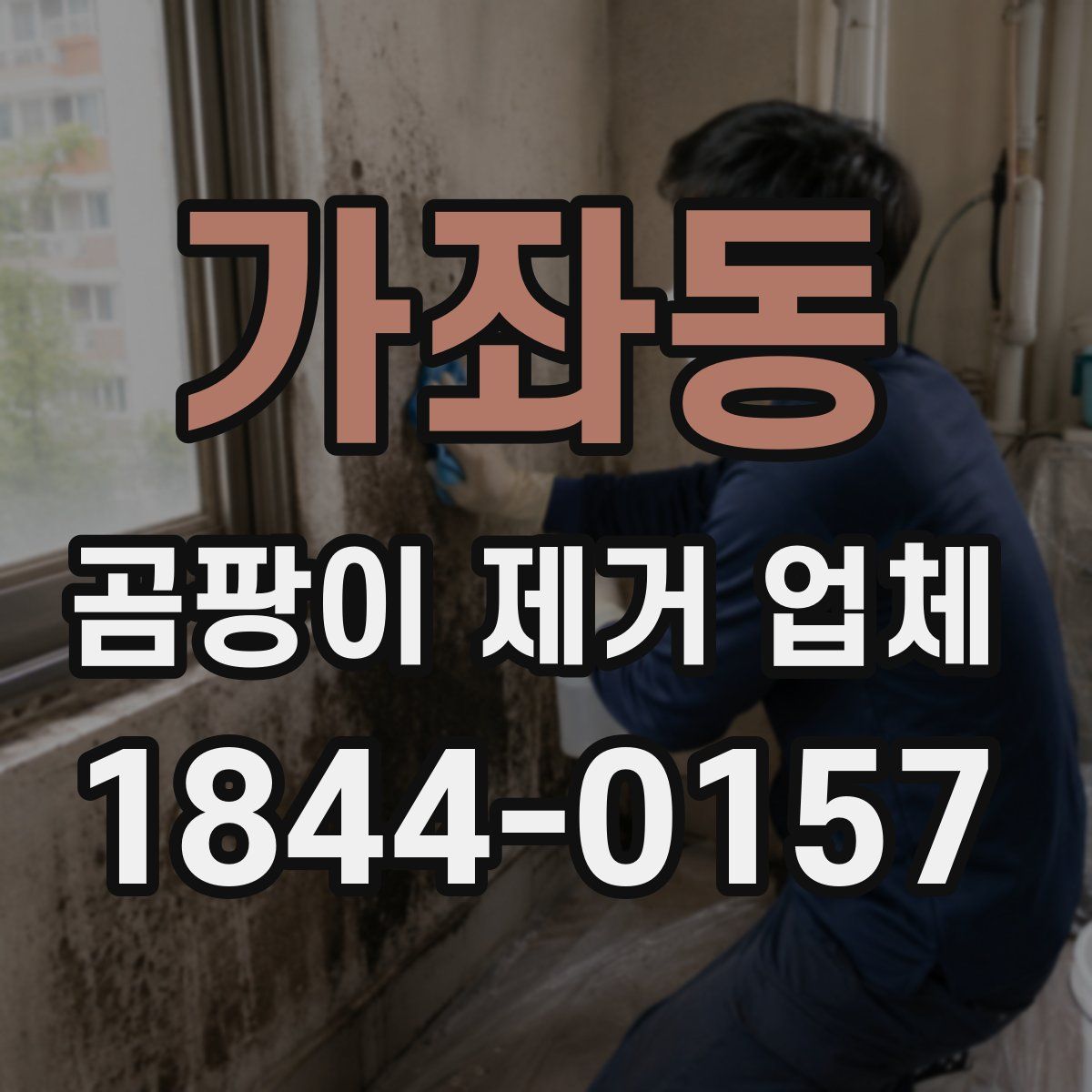 가좌동 곰팡이 제거 업체