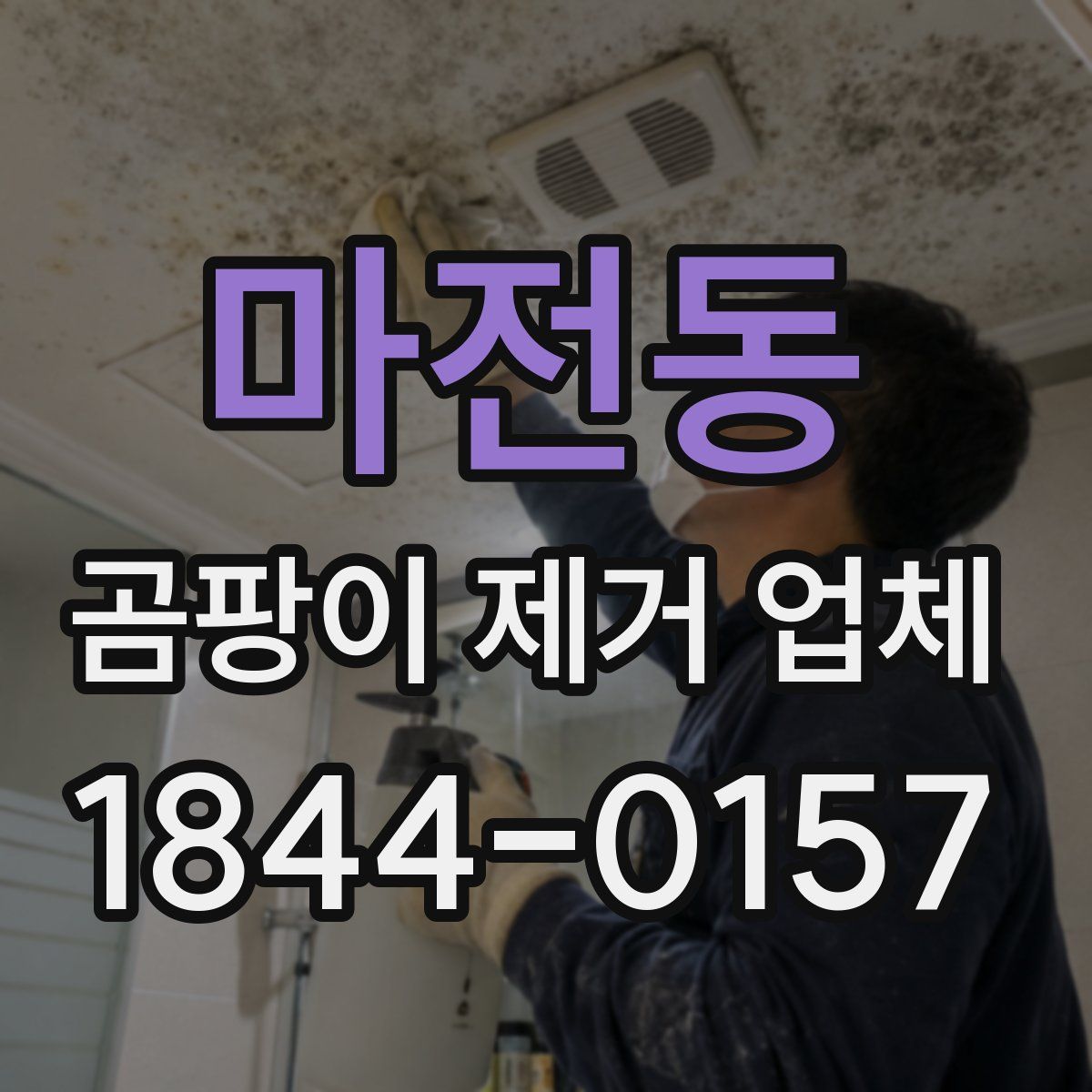 마전동 곰팡이 제거 업체