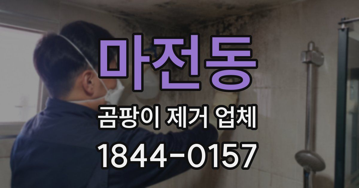 마전동 곰팡이 제거 업체
