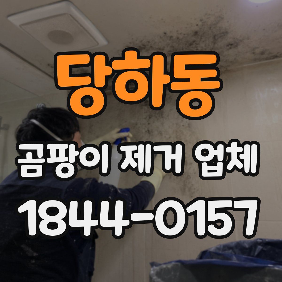 당하동 곰팡이 제거 업체