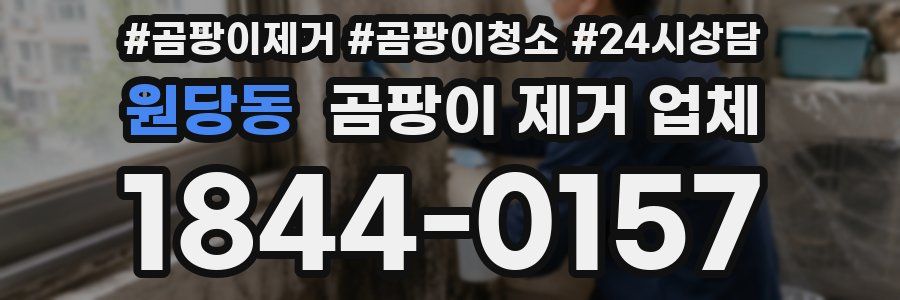 원당동 곰팡이 제거 업체