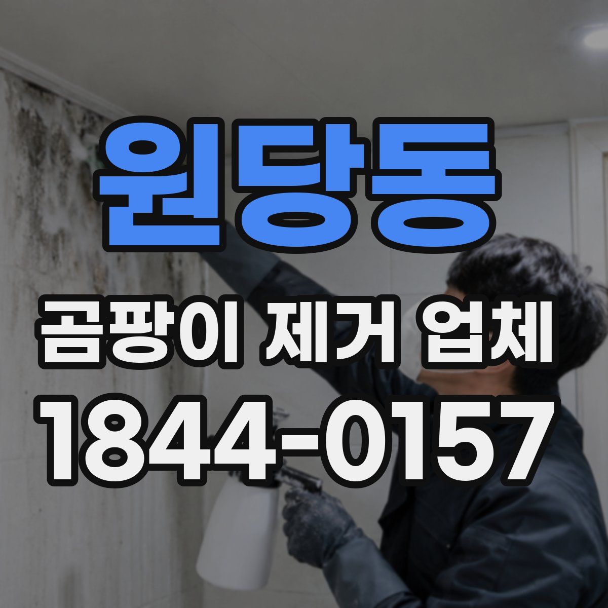원당동 곰팡이 제거 업체