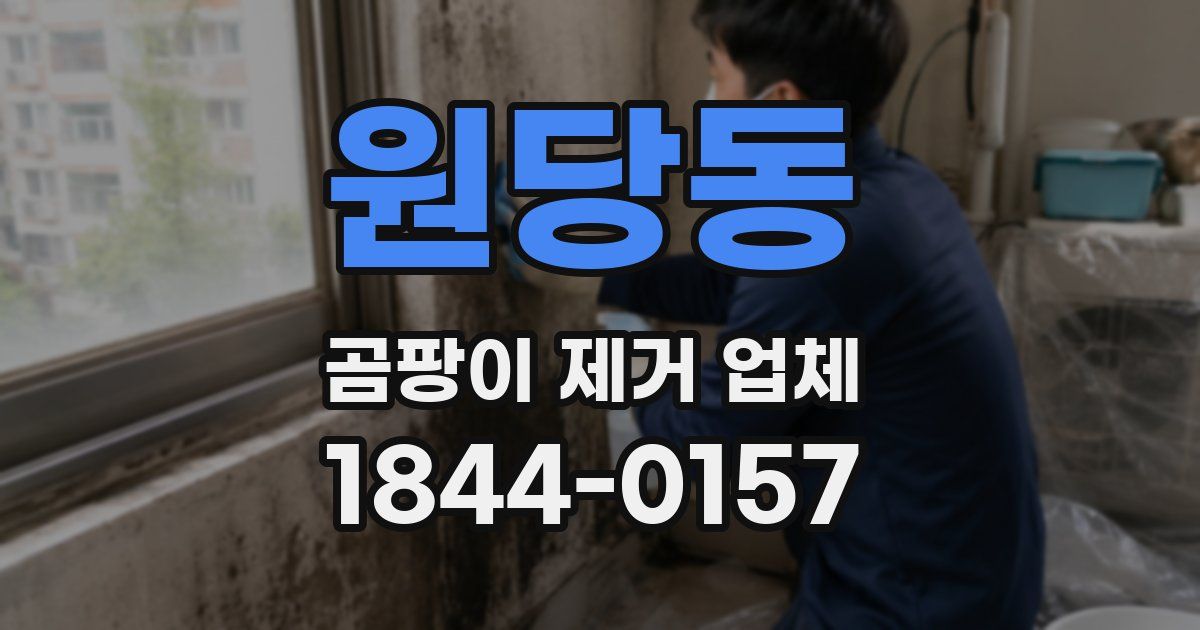 원당동 곰팡이 제거 업체