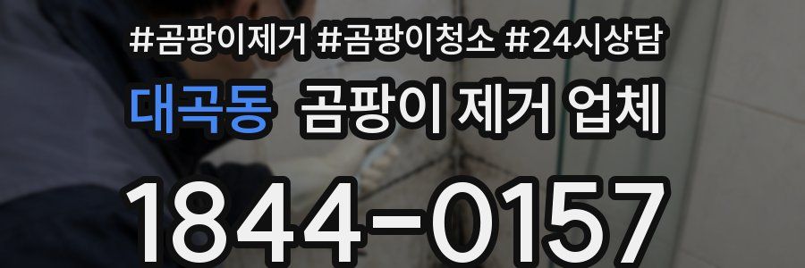 대곡동 곰팡이 제거 업체