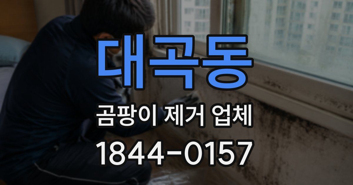 대곡동 곰팡이 제거 업체