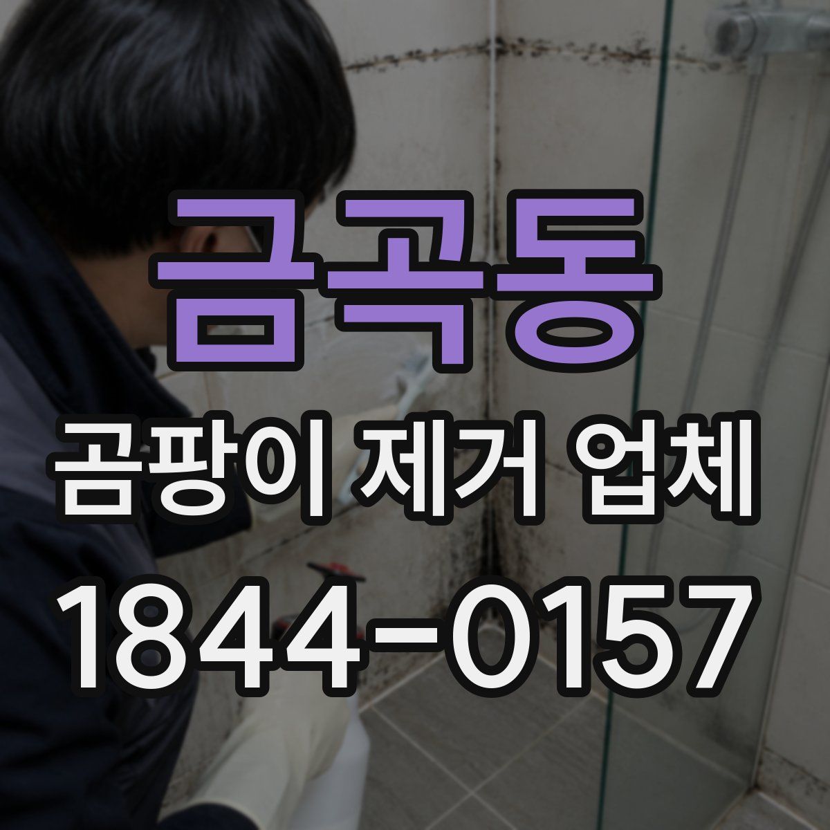 금곡동 곰팡이 제거 업체