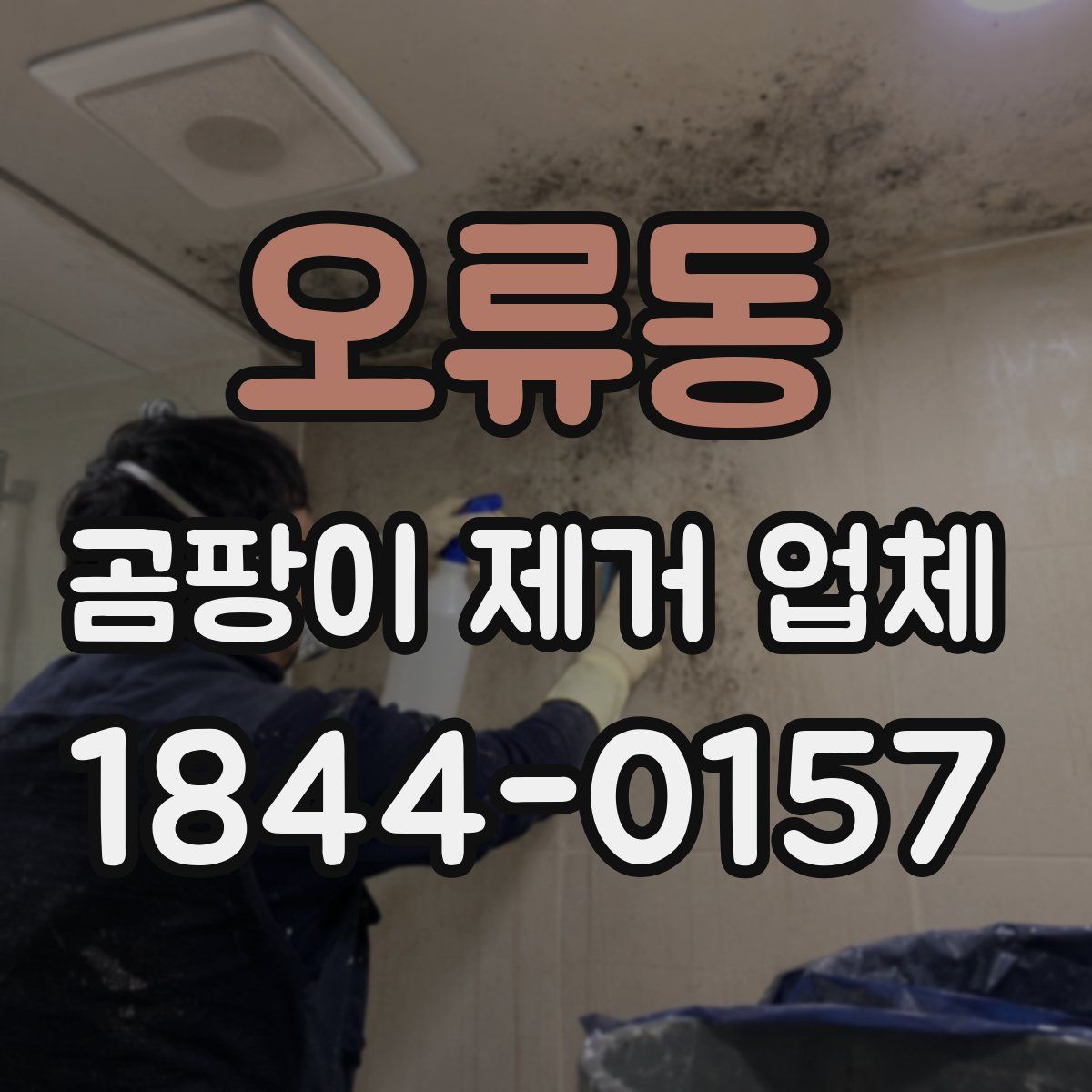 오류동 곰팡이 제거 업체