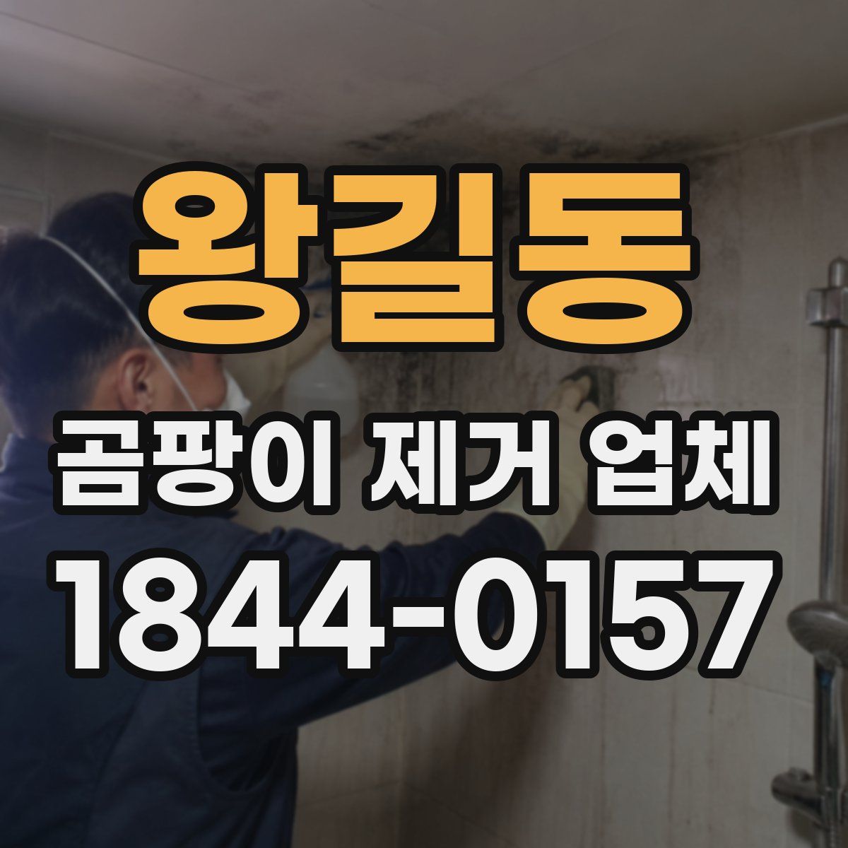 왕길동 곰팡이 제거 업체