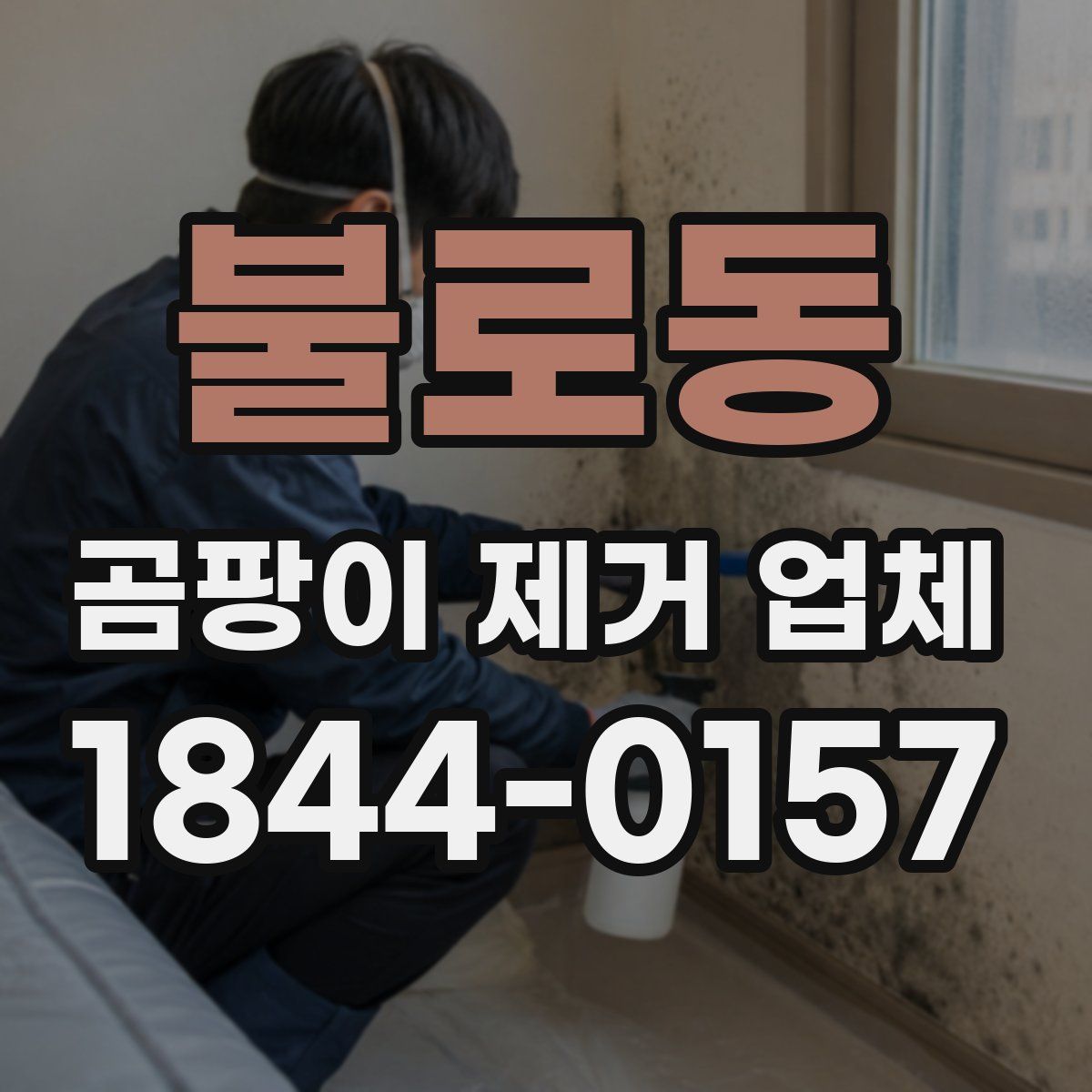 불로동 곰팡이 제거 업체