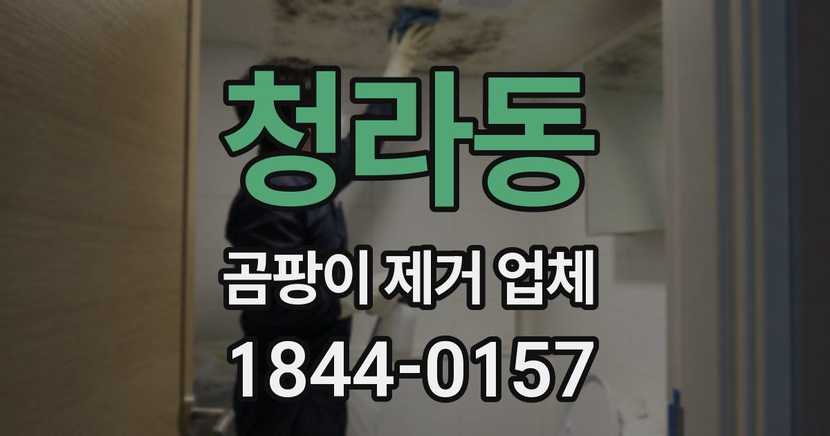 청라동 곰팡이 제거 업체