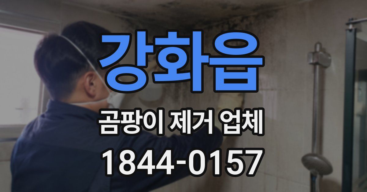 강화읍 곰팡이 제거 업체