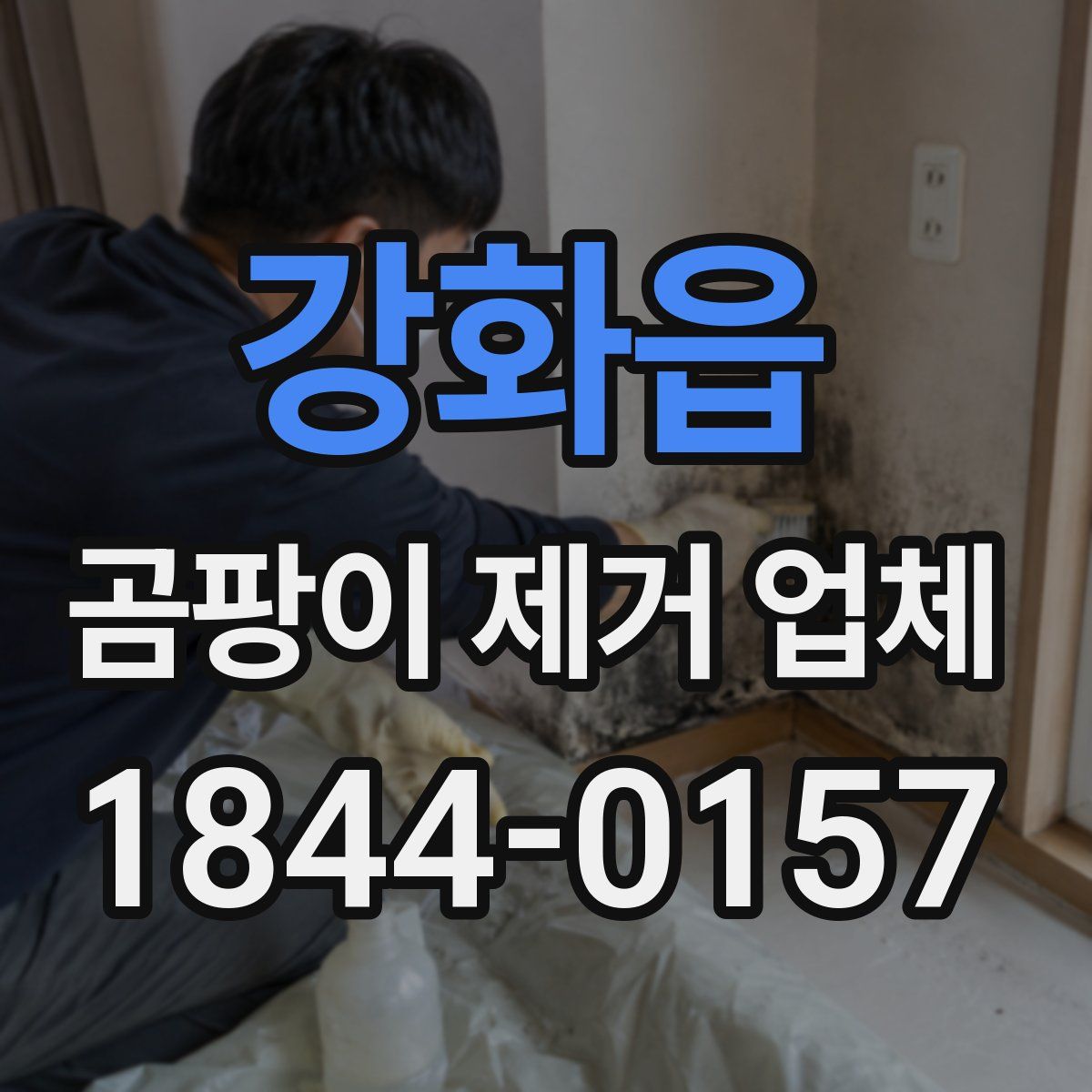 강화읍 곰팡이 제거 업체