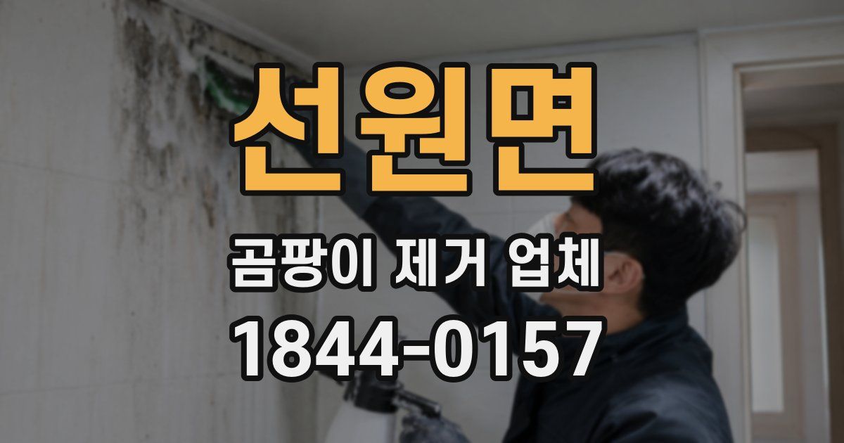 선원면 곰팡이 제거 업체