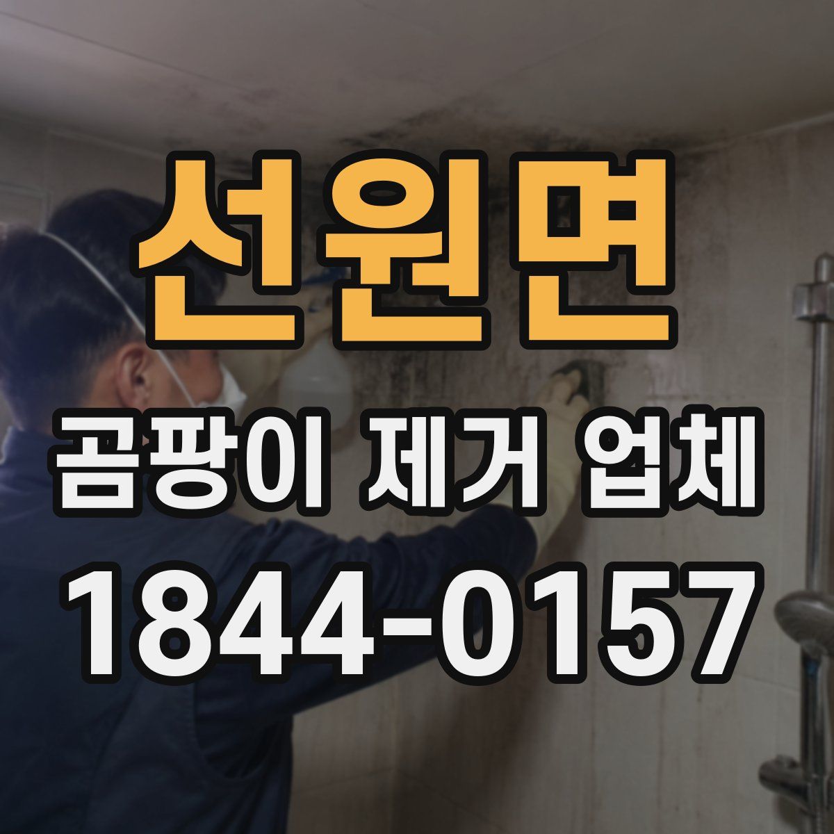 선원면 곰팡이 제거 업체