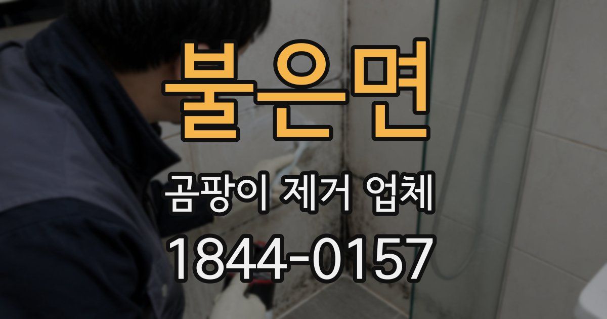 불은면 곰팡이 제거 업체